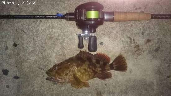 �����Υ���������