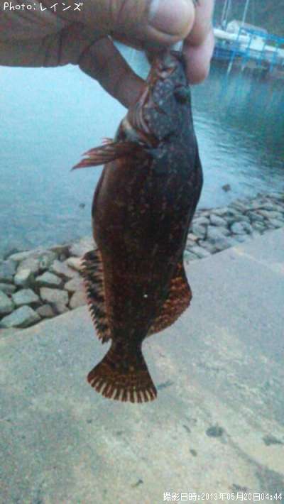 �����Υ����������������ʥ�