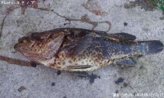 �����Υ���Х�