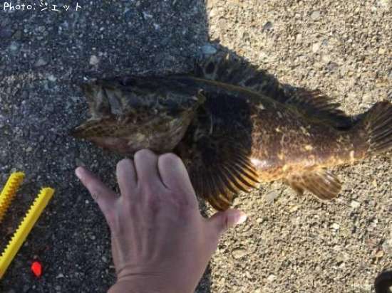 �����Υ���Х�