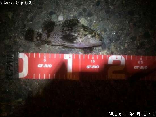 �����Υ���Х�