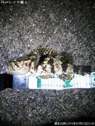 �����Υ���Х�