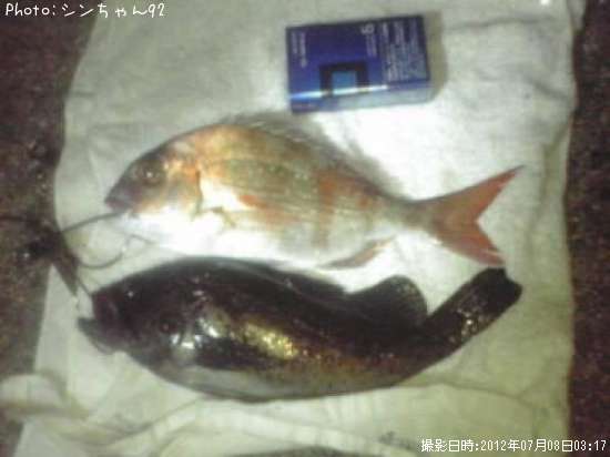 �����Υ���Х�¾