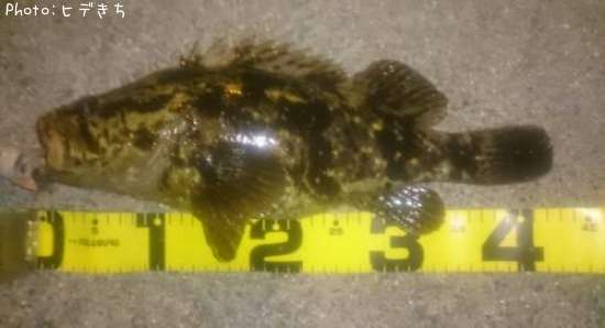 �����Υ���Х�