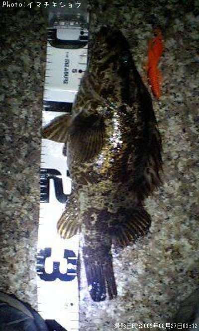 �����Υ���Х�