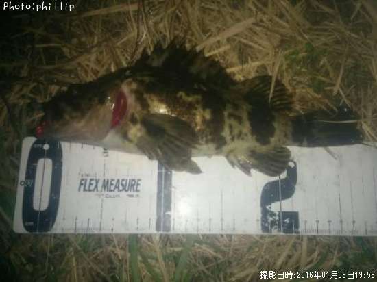 �����Υ���Х�