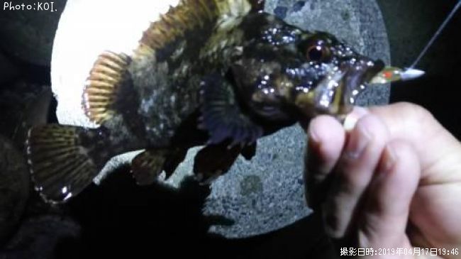 �����Υ���Х�