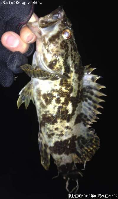 �����Υ���Х��������