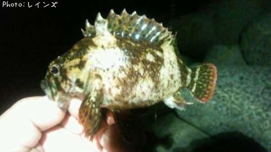 �����Υ�����饽��