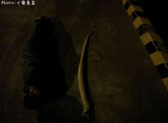 �������ĥ�