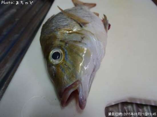 ���ޥ�ڥϥޥե��ե���