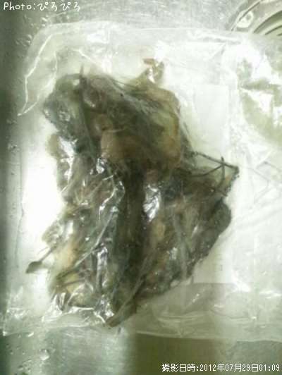 �ƥʥ�����