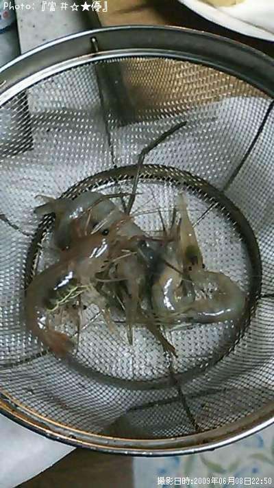 �ƥʥ�����