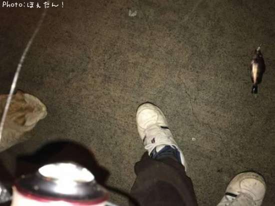 ǭ�ȥ�Х�