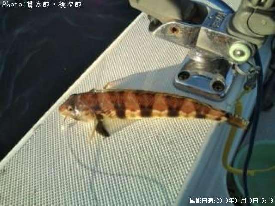 �ȥ饮��