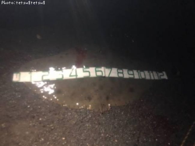 �ĥХ�������