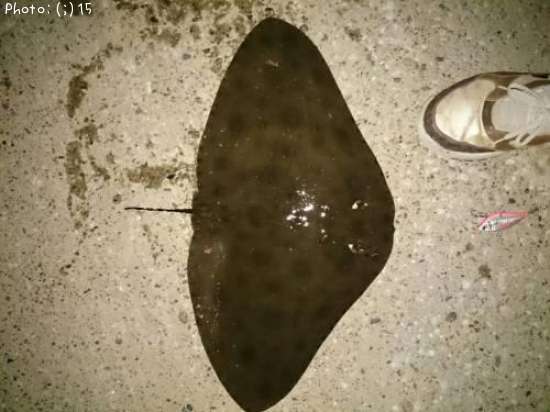 �ĥХ����ߣ�������