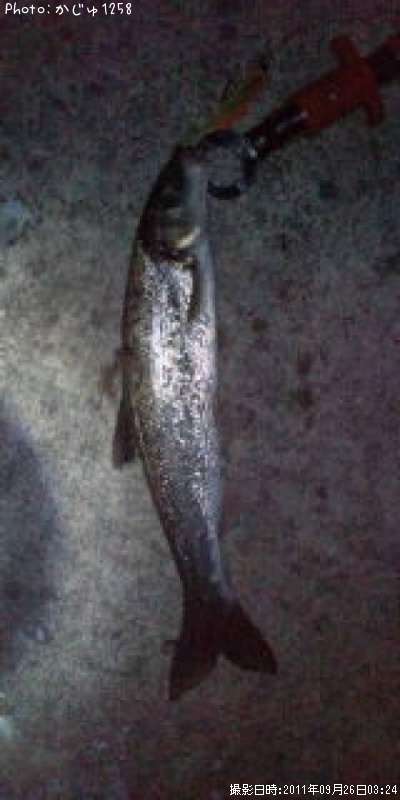 �������ġ�