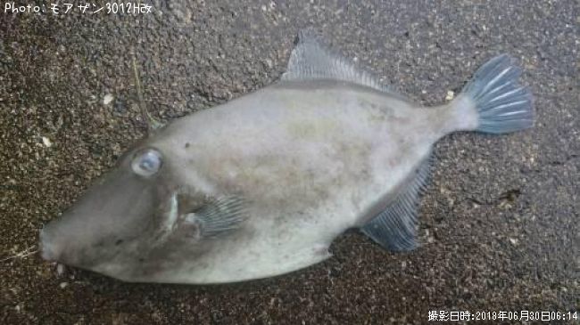 ���ޥ���ϥ�