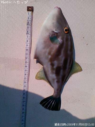 ���ޥ���ϥ�