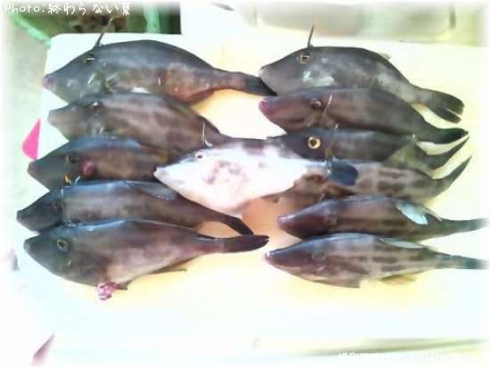 ���ޥ���ϥ�