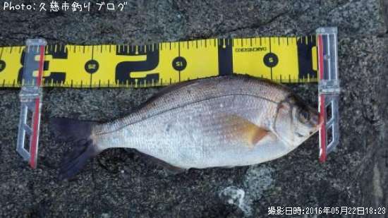 ���ߥ��ʥ�