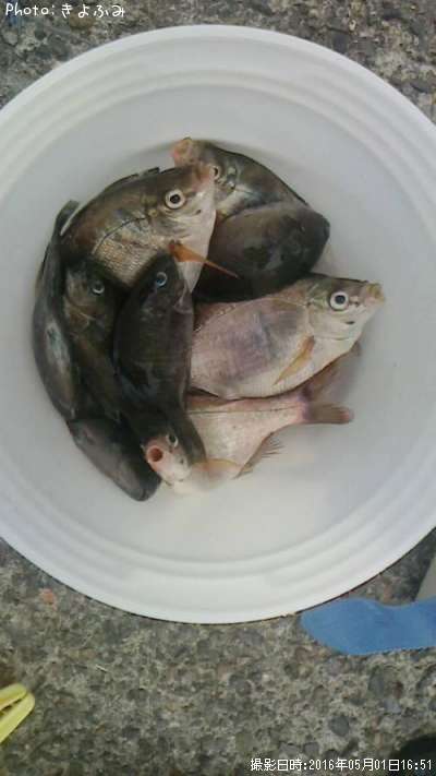 ���ߥ��ʥ����᥸�ʡ�����