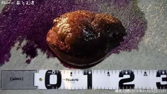 ���ߥ���