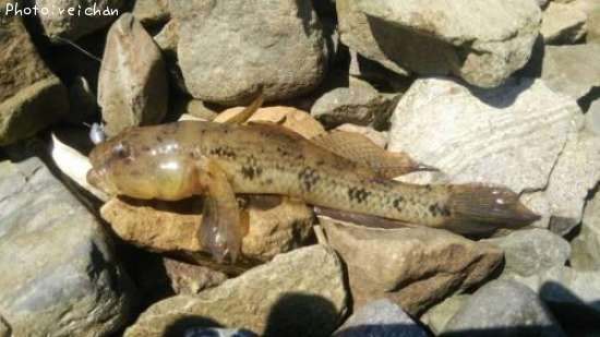 �����ϥ�