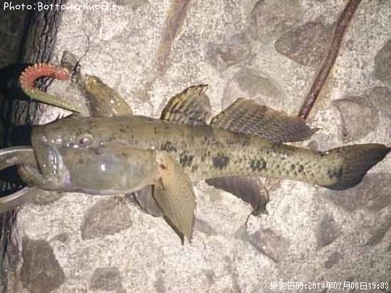 �����ϥ�