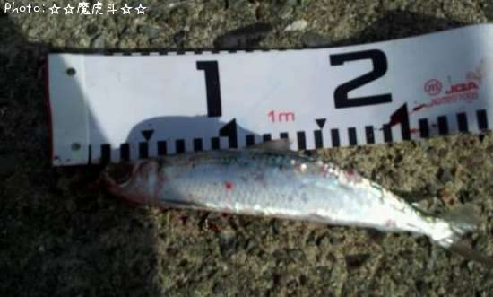 ����ᥤ�亮