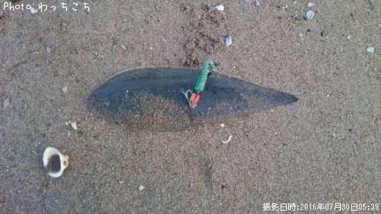 �����Υ���