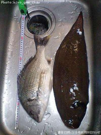 �����Υ���