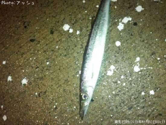 �狼��ʤ�