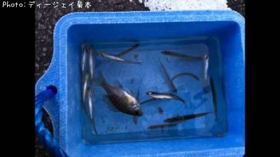 �參�������֥롼����