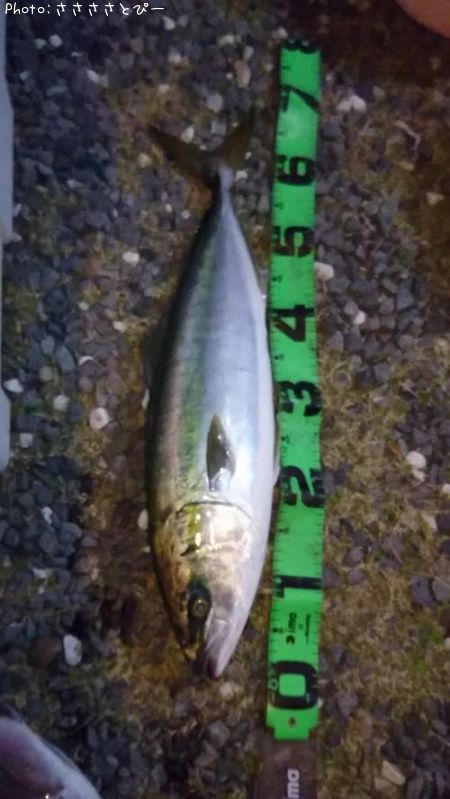 ��饵��������������ϥ�