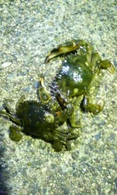 �勵�ꥬ�ˡ����ʡ��ء���