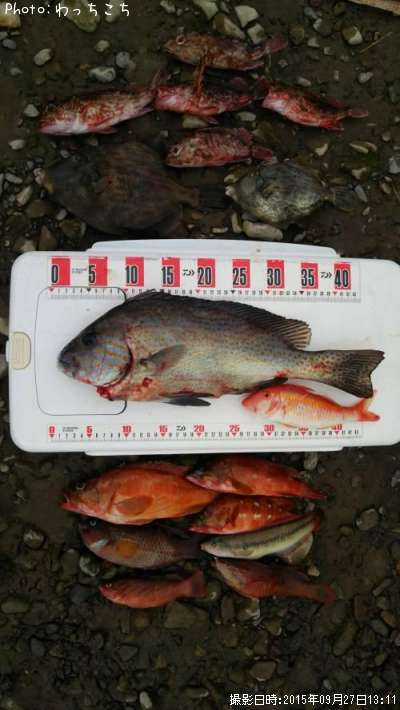 ����̾�����ϥ�������