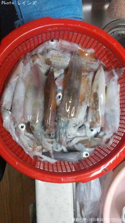 ��ꥤ�������������ҥ���