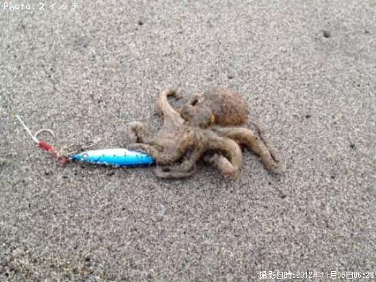 ��ä��褿�Τ��������ʡ���������