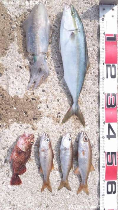 �䥺���ޤμ���ˡ���ġ��������������ꥤ��