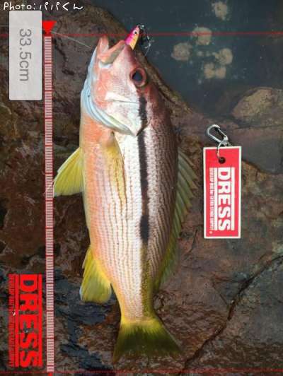 �襳�����ե�����