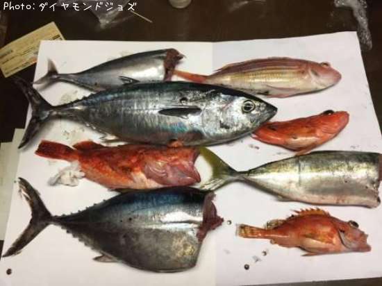 �襳��