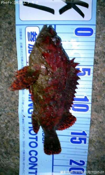 �������Х�