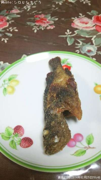 �������Х�