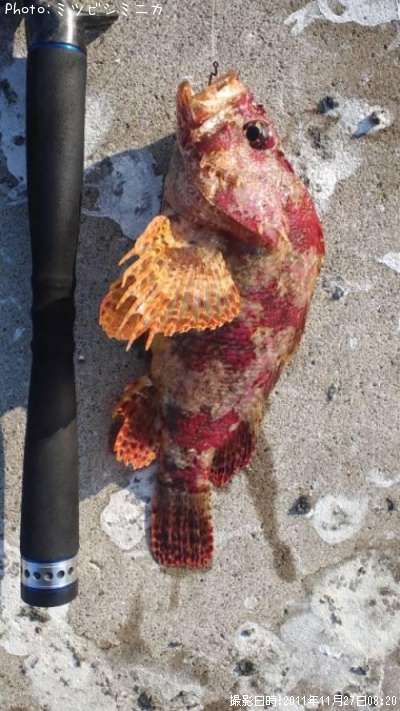 �������Х�