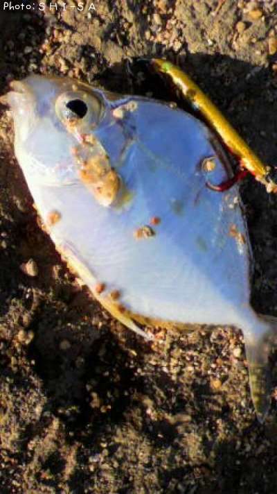 ����䥬����