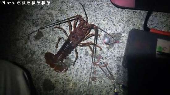 ���ꥬ�ˡʾС�