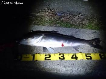 �����Х�