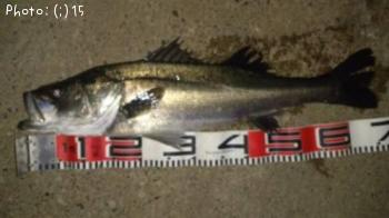 �����Ф�